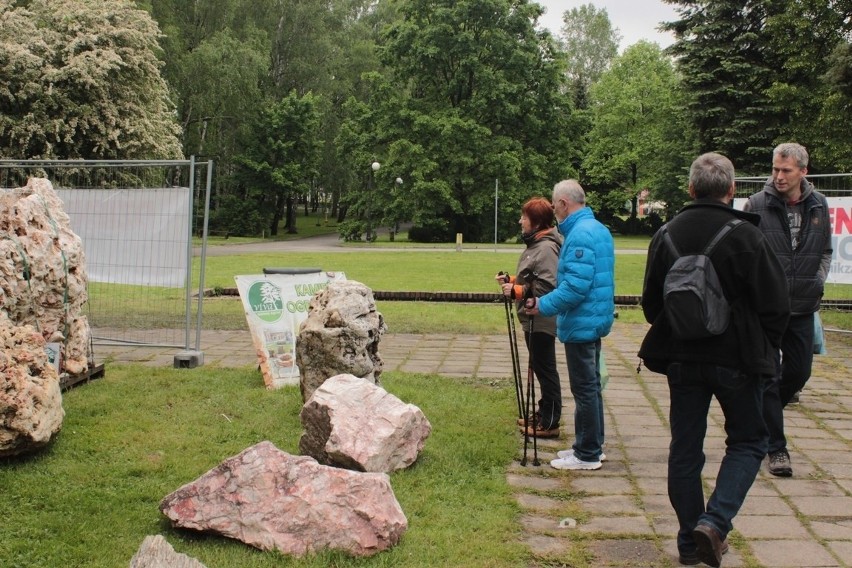 Wystawa Kwiatów i Ogrodów w Parku Śląskim