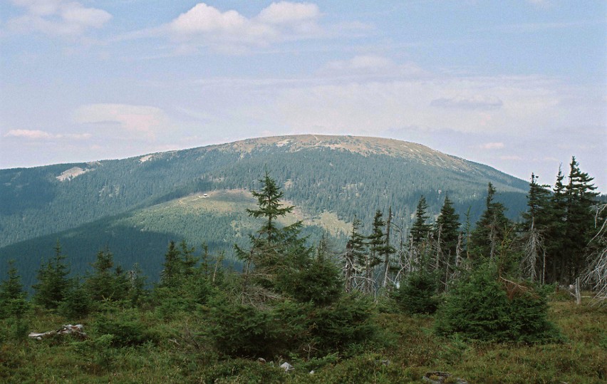 Śnieżnik (1425 m n.p.m.). Z jego szczytu widać nawet Alpy w...