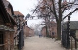 Kalendarium zbrodni w KL Auschwitz. Historycy Muzeum Auschwitz-Birkenau opracowali kalendarz wydarzeń w niemieckim obozie. Zdjęcia 