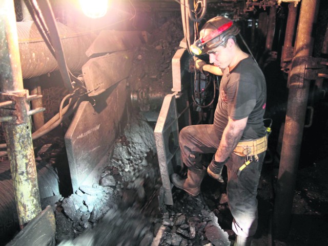 Zarobki górników: Tyle zarabiają w Kompanii Węglowej