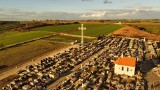 Cmentarz parafialny w Kazimierzy Małej z drona. Widok robi wrażenie. W połączeniu z otoczeniem daje niesamowity efekt. Zobaczcie zdjęcia