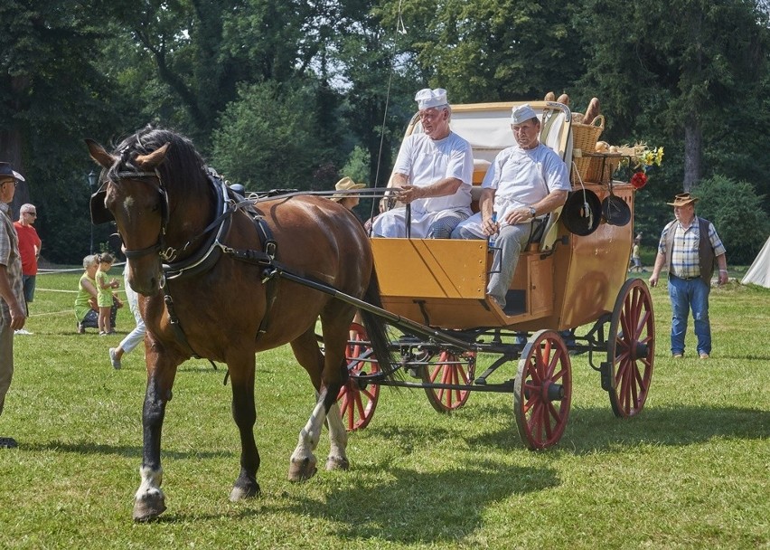 Piknik Country w Zamku Kliczków! Już 30 sierpnia zapraszamy wszystkich na Łaciate Ranczo do Kliczkowa!