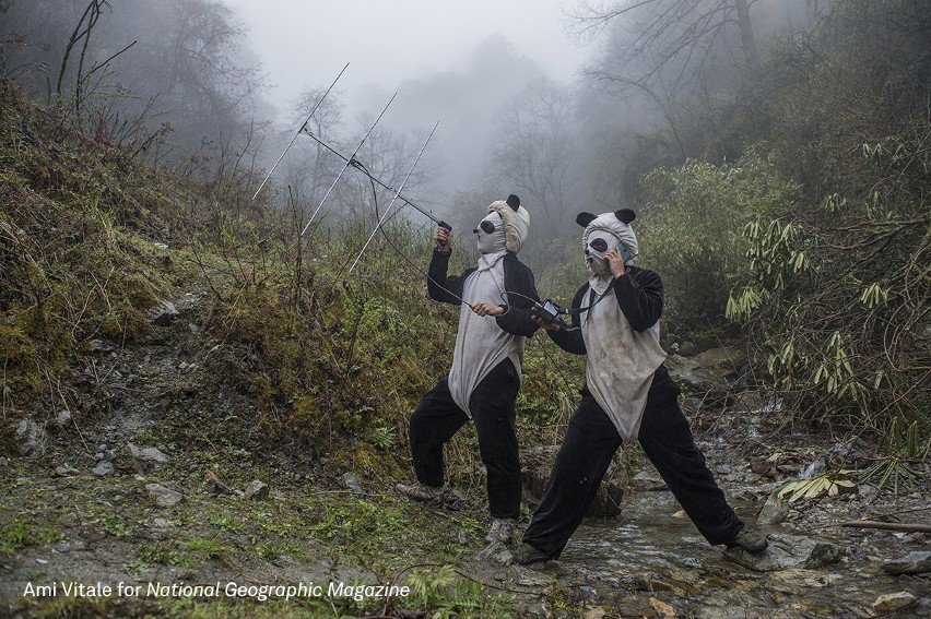 World Press Photo 2017. Zobaczcie najlepsze zdjęcia