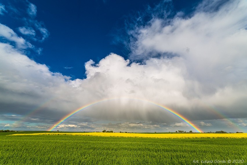 Dobre oko i umiejętności fotograficzne, a także dużo...