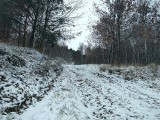Pierwszy większy śnieg tej zimy w powiecie ostrowieckim. Piękne widoki, przysyłajcie Wasze zdjęcia