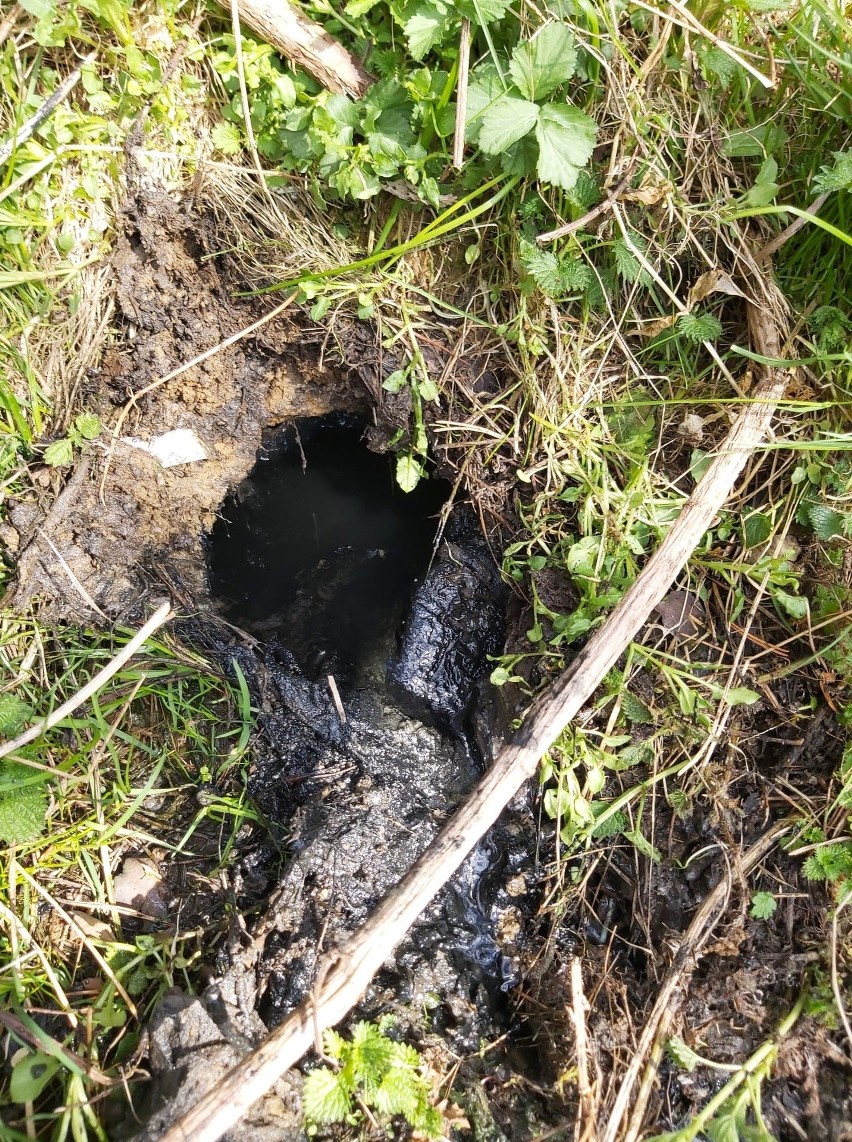 Nowy Targ. Urzędnicy znaleźli rurę, z której wyciekała dziwna substancja. Ktoś opróżniał sobie szambo? 