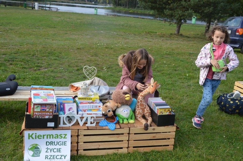 Eko - Piknik w Suchedniowie ze skuteczną zabawą. Będą domki dla pszczół [ZDJĘCIA]