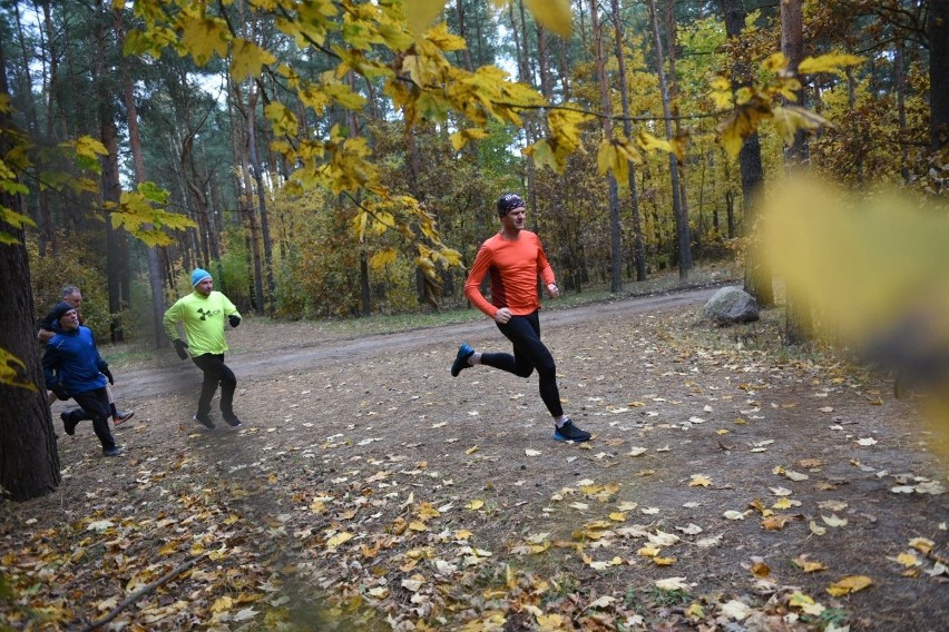 Parkrun Toruń - biegliście dzisiaj? Zobaczcie naszą fotorelację