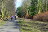 Park Olimpijczyków w Katowicach Szopienicach będzie zrewitalizowany