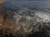 Kolejne zanieczyszczenie Jeziora Żywieckiego. Tajemnicza substancja na wodzie