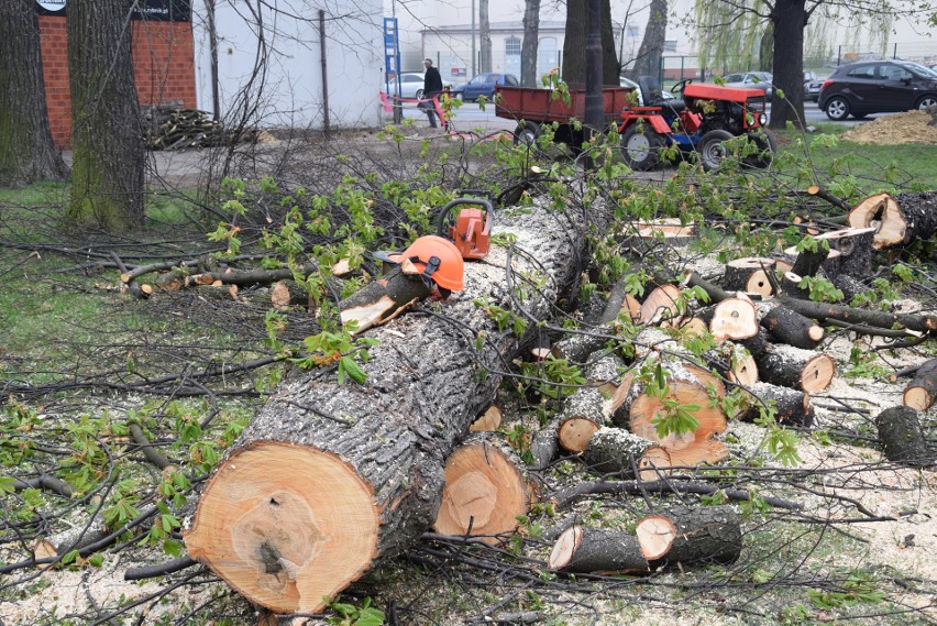 Rybnik: Wycięli park przy dawnym kinie Hutnik