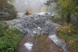 Śmietnisko w Lisowie. Ktoś znów wyrzucił tam odpady garbarskie (WIDEO, zdjęcia)