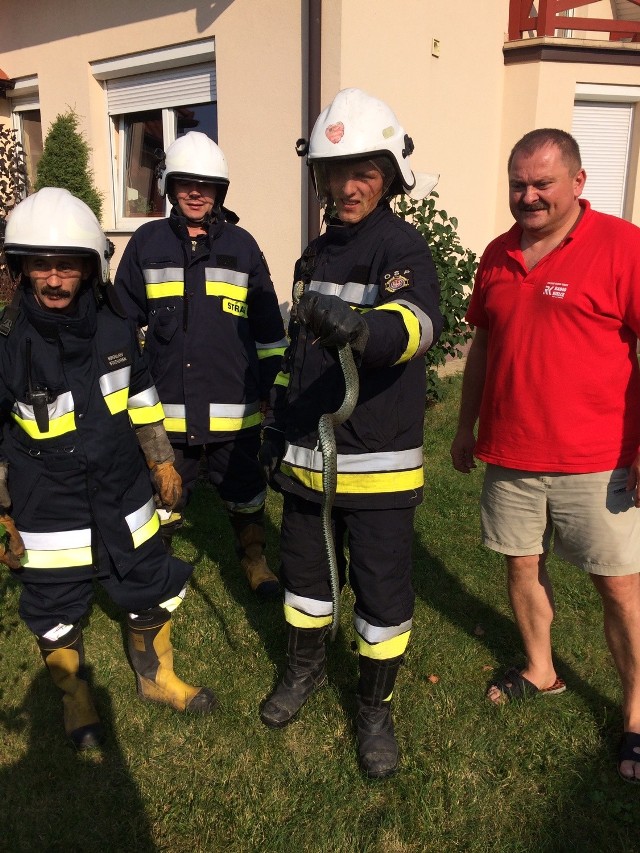 Dyrektor szpitala dziecięcego w Kielcach Włodzimierz Wielgus z ekipą strażaków.