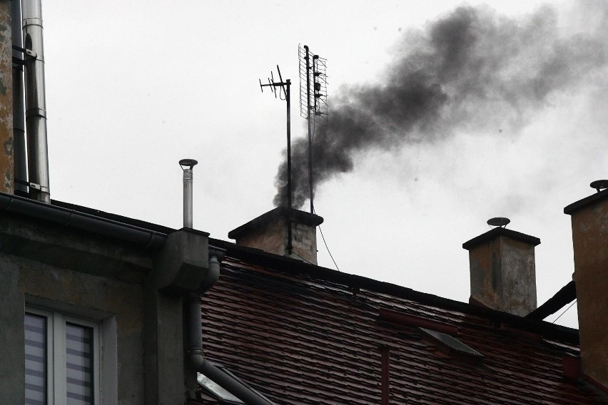 Czujniki powietrza rozlokowane w Malborku pokazują, że...