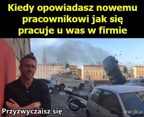 Oto najlepsze memy o pracy. Tak Polacy żartują z zatrudnienia i zarobków. Zobacz i uśmiechnij się razem z nami!