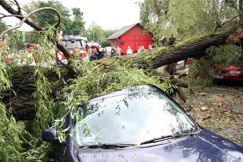 Odłóż takie sprzęty, jak wędki, kije golfowe, itp. Poszukaj...