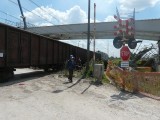 Wypadek w Marzeninie. Kierowca ciężarówki wjechał pod pociąg [ZDJĘCIA+FILM]