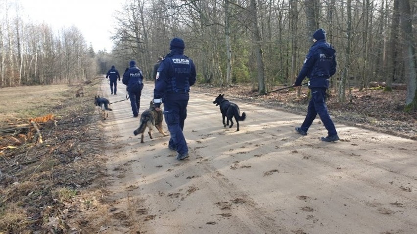 Policjanci z psami ruszyli na kłusowników. Wspólna akcja mundurowych (zdjęcia)