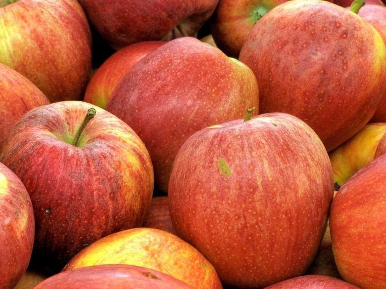 Za kilogram jabłek zapłacimy od 5 do 6,5 zł