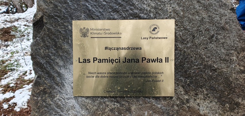 Las Pamięci Jana Pawła II rośnie w Chełmcu. Społeczna akcja sadzenia drzew.