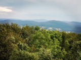 Beskid Niski i góra Cergowa z wieżą widokową. Takie widoki tylko na Podkarpaciu [ZDJĘCIA]