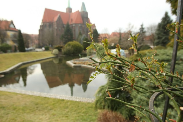 Otwarcie wrocławskiego ogrodu botanicznego zaplanowano w 2016 roku na 19 marca