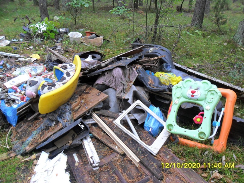 Nielegalne wysypisko śmieci w lesie pod Ostrowią Mazowiecką