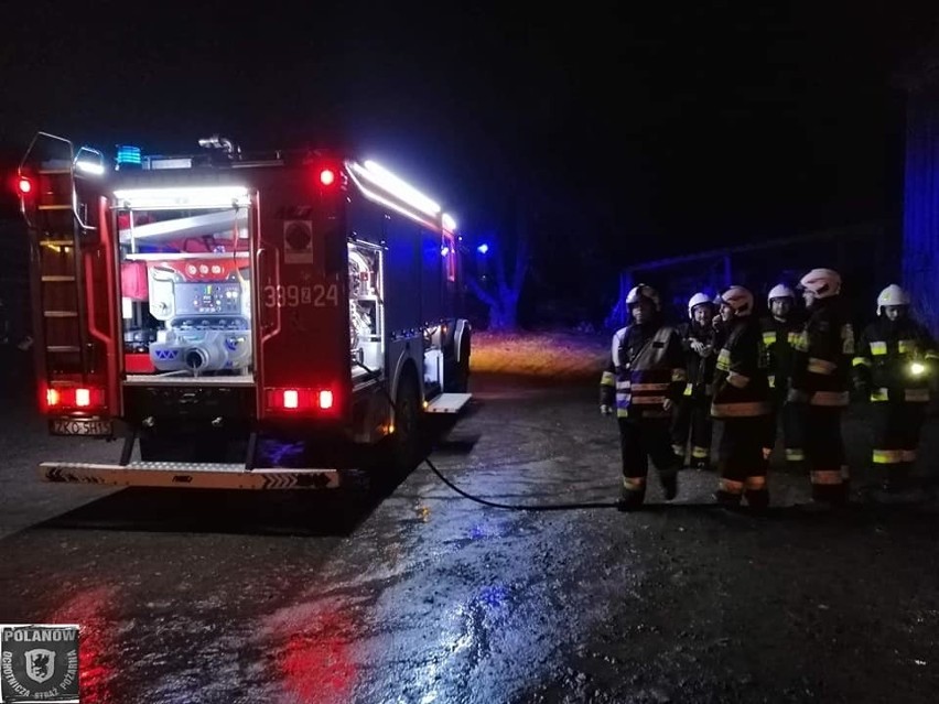 Pożar pomieszczeń gospodarczych. Ucierpiały zwierzęta [ZDJĘCIA] 