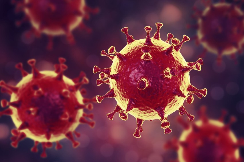 Nowe zakazy w związku z epidemią koronawirusa już od 1 kwietnia 2020. Na razie na dwa tygodnie