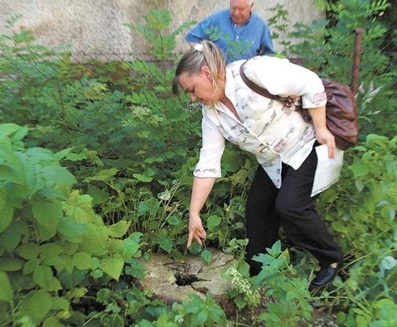 Małgorzata Kupis pokazuje miejsce, w którym stała lipa, przekleństwo jej rodziny.