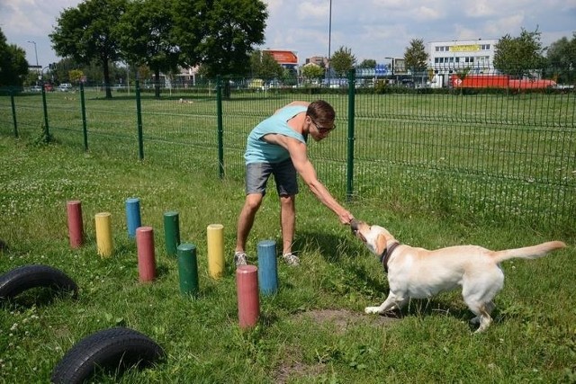 Walczą o wybiegi dla psów i place zabaw