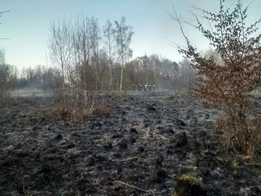 Pijany został poparzony, gdy gasił pożar trawy