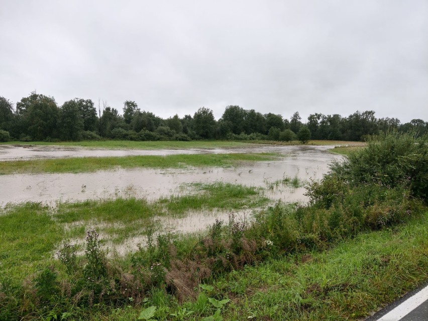 Podhale. Już ponad 250 interwencji. Wezwań po ulewie cały czas przybywa [ZDJĘCIA]