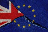 Polacy a brexit. Jednak chcą zostać na Wyspach po brexicie 