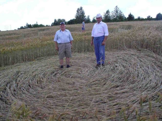 4 lata temu na polu w Chruszczobrodzie pojawiły się tajemnicze kręgi