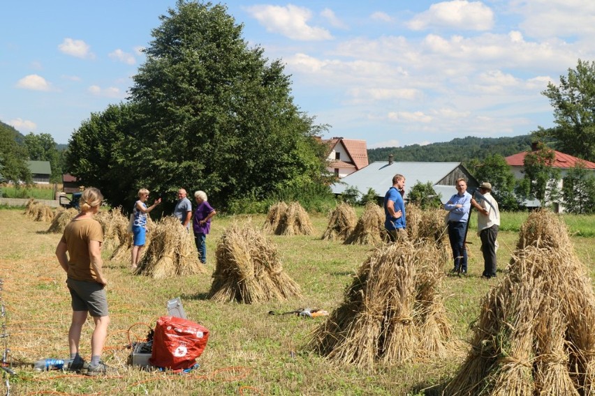 Ochotnica Dolna. Szukają grobów z czasów II wojny światowej 