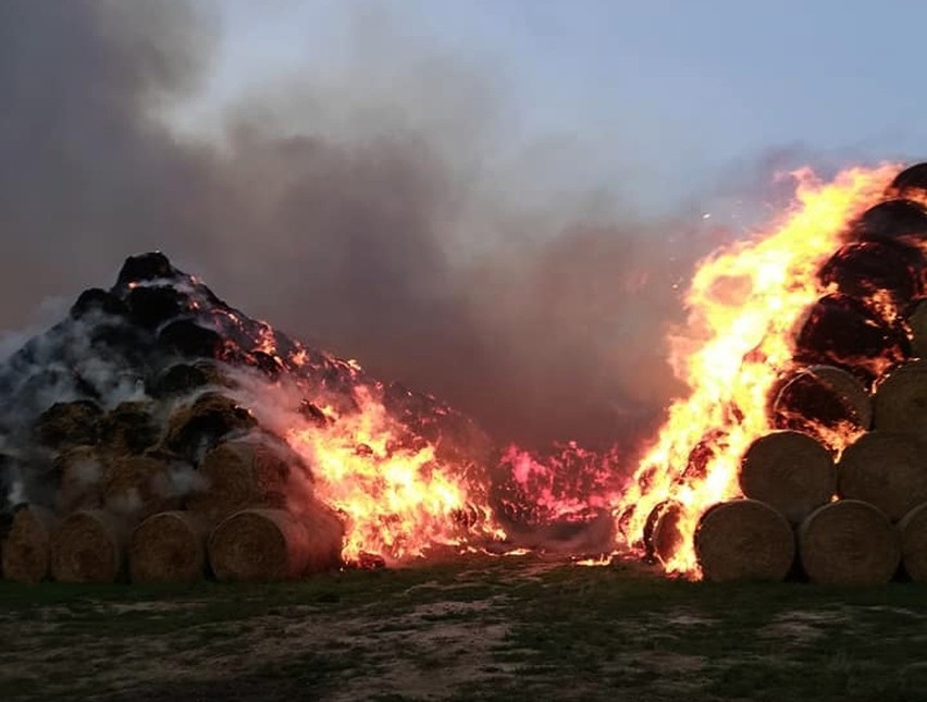 Potężny pożar w Jordanowie Śląskim. Palą się sterty słomy przy zakładzie produkującym pellet (ZDJĘCIA)