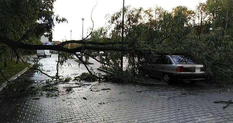 Wichura w Małopolsce. Porywisty wiatr narobił sporo szkód. Połamane drzewa, uszkodzone dachy, zerwane linie energetyczne
