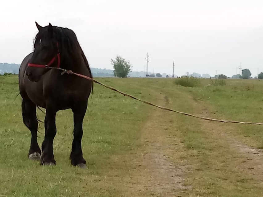 Bo gdzie jeszcze w naszym mieście - ba! czy w ogóle w...