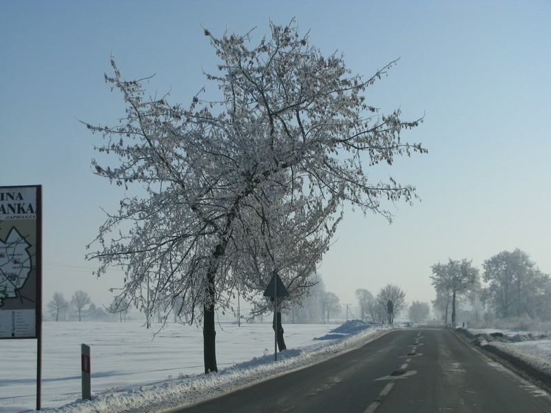 Zima w powiecie toruńskim jest piękna!