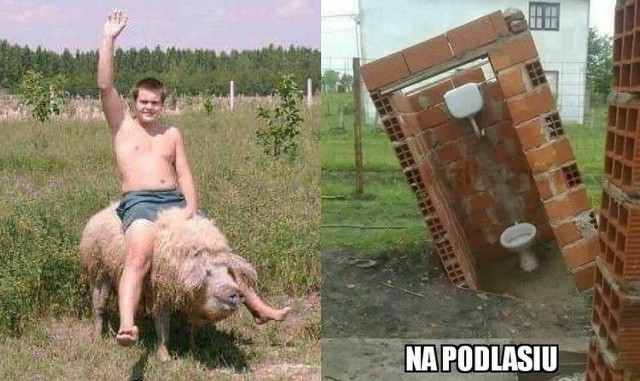  Znowu się z nas śmieją! Najbardziej głupie i bezczelne podlaskie memy