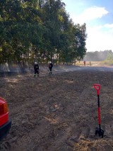 Podpalacz w gminie Tłuchowo? W Borowie jest więcej pożarów