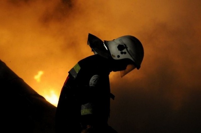 Żeby zostać strażakiem w Państwowej Straży Pożarnej, trzeba przejść egzamin kwalifikacyjny.