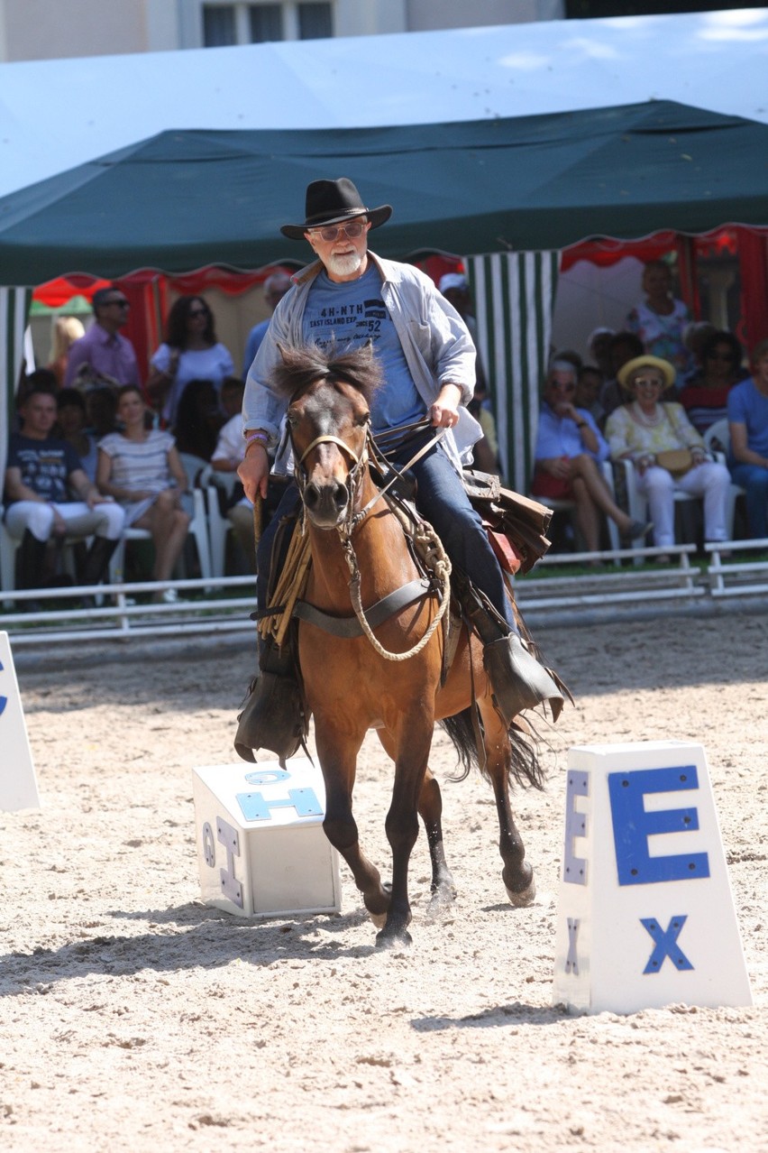 XIX Jeździeckie Mistrzostwa Gwiazd Lewada Art Cup w...