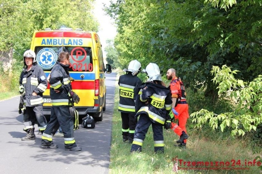 Byki zaatakowały mężczyznę pod Trzemesznem w Wielkopolsce. Trafił do szpitala w Poznaniu. Jego stan jest poważny