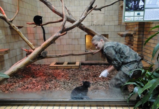 Praca ze zwierzętami to pasja Darii. Liczy, że po skończeniu stażu zostanie zatrudniona w opolskim ogrodzie zoologicznym.