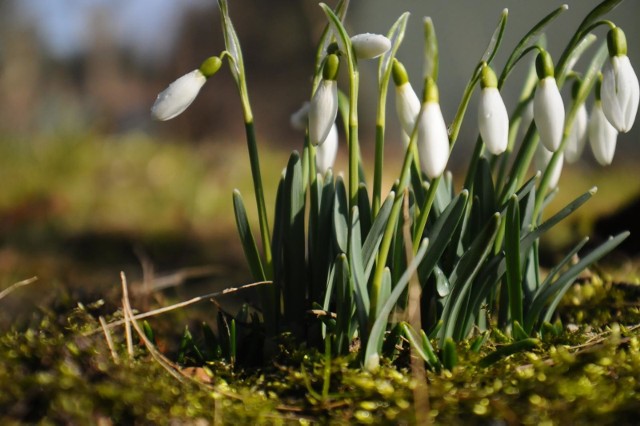 Jaka będzie dziś pogoda? 27.02.2019