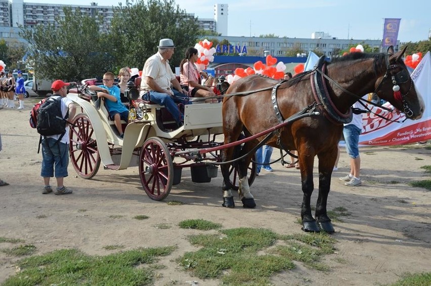 Korowód Nadziei 2016