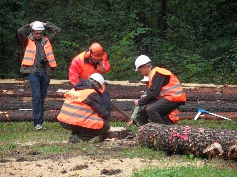 Cietrzewisko 2013 w Koszęcinie