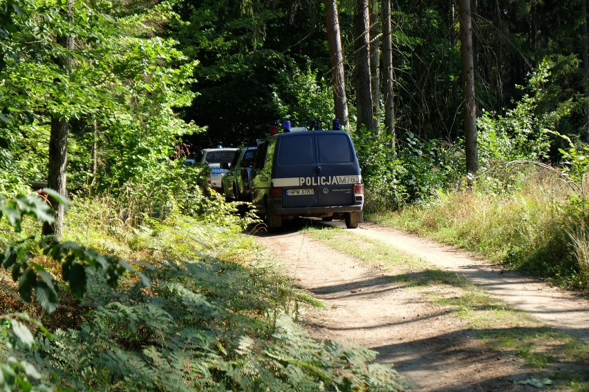 2017-08-31 hajnowka bialowieza protest aktywisktow wycinka...